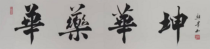 华药华坤.png